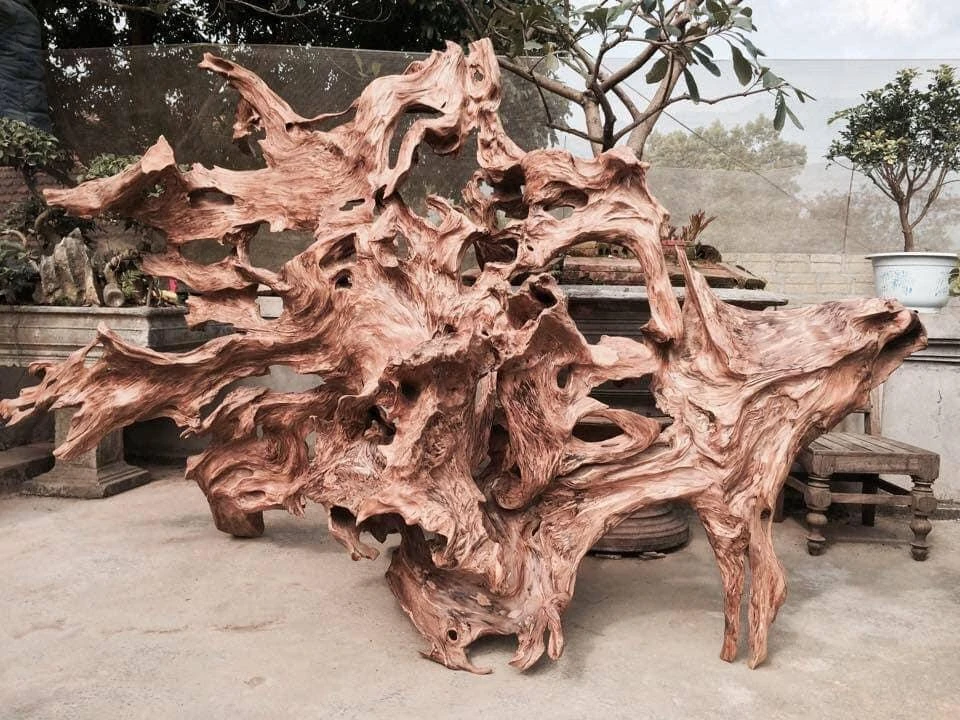 Gỗ lũa chưa chạm khắc 03